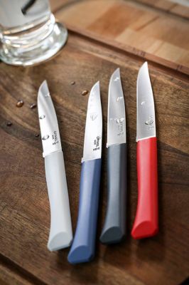 Acheter couteaux bon appétit   OPINEL près de Lyon